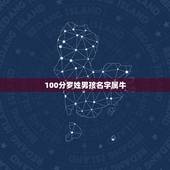 100分罗姓男孩名字属牛，罗姓男孩2003年8月19日生取名