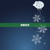 姓取名字，求袁姓男孩名字