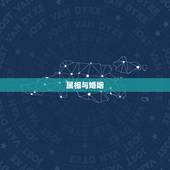 马婚配属相是什么(如何选择最合适的配偶)