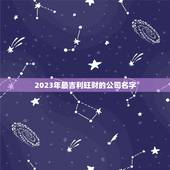 2023年最吉利旺财的公司名字，2023年最吉利旺财的公司名字水产品