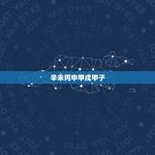 辛未丙申甲戌甲子，辛未丙申甲子癸酉