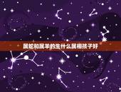 属蛇和属羊的生什么属相孩子好，属蛇和属羊的生什么孩子？