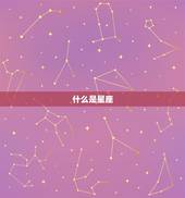 金星怎么查询星座免费(快速了解自己的星座命运)