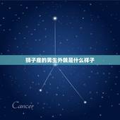 狮子座的男生外貌是什么样子，狮子座男颜值都好高