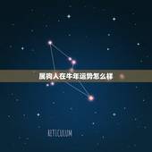 属狗人在牛年运势怎么样，1982年属狗牛年运势