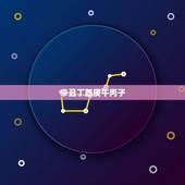 辛丑丁酉庚午丙子，辛丑丁酉丙子癸巳