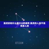 属虎的和什么属什么的相克 属虎的人是不是克家人的