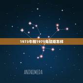 1973牛和1975兔结婚怎样(幸福美满的婚姻之路)