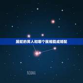 属蛇的男人和哪个属相能成婚配，属蛇的男人和什么属相最配