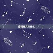 摩羯座又叫什么，摩羯座配什么星座