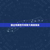 国企党委把方向管大局促落实，把方向管大局作决策保落实