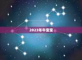 2023年牛宝宝，2023牛宝宝几月出生最好命2023年