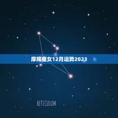 摩羯座女12月运势2023，2023年运气最差星座