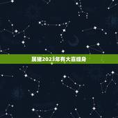 属猪2023年有大喜缠身，2023年属猪人的全年运势1983出生