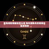 属兔相配婚姻会怎么样 兔年跟兔年的婚姻会是怎样的