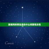 属相鸡的男生适合什么样属性女性，属鸡的男生适合什么属相的女生