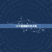 12个星座图片长大后，明日公主的美图