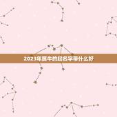 2023年属牛的起名字带什么好，男孩名字2023年属牛怎么取？