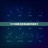 1978年属马的幸运数字是多少(探秘数字背后的神秘力量)