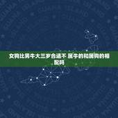 女狗比男牛大三岁合适不 属牛的和属狗的相配吗