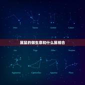 属鼠的做生意和什么属相合，属鼠的人和什么属相做生意合财？