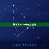 属羊人2023年每月运势，91属羊人2023年全年运势年