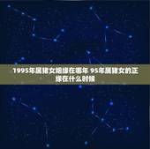 1995年属猪女姻缘在哪年 95年属猪女的正缘在什么时候