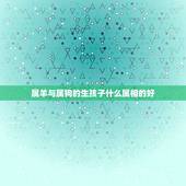 属羊与属狗的生孩子什么属相的好，我属狗老公属羊，我们生个什么属相的宝宝