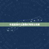 牛宝宝忌什么属相父母怎么化解，马妈妈生牛宝宝怎么化解