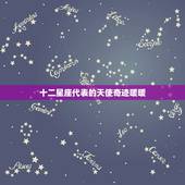 十二星座代表的天使奇迹暖暖，十二星座代表的女