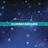 2023年男孩小名叫什么好听，2023男孩取名字寓意好的有哪些？