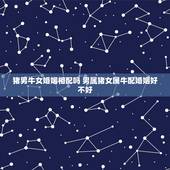 猪男牛女婚姻相配吗 男属猪女属牛配婚姻好不好