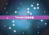 1995年几月猪命苦 几月出生的猪终身命好