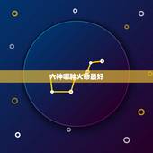 六种哪种火命最好，六种哪种火命最好