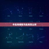 牛生肖婚配马生肖怎么样，属马的和哪几个生肖不能配 哪几个能配