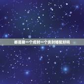 都是猪一个戍时一个亥时婚配好吗，95年属猪的婚配和什么属相最好