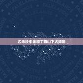 乙未沙中金和丁酉山下火婚配，跪求，哪位高人 ，解读一下八字排盘！十分感
