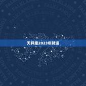 天秤座2023年财运，2023年天枰女运势