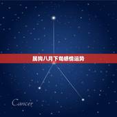 属狗八月下旬感情运势，属狗人八月感情运势
