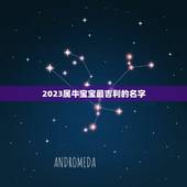 2023属牛宝宝最吉利的名字，2023年牛宝宝取什么名字好