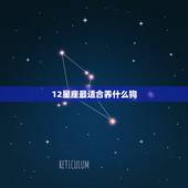 12星座最适合养什么狗，十二星座适合养什么宠物