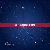 辛丑年各月出生命格，辛丑年戊戌月甲申日命如何？