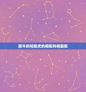 属牛的和属虎的相配吗相最配，属牛男和属虎女相配吗