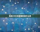 我是1995年属猪的是什么命，1995年是什么命，1995年出生是什么