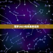 塔罗2023年双鱼男运势