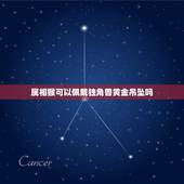 属相猴可以佩戴独角兽黄金吊坠吗，属猴人最适合佩戴什么饰品