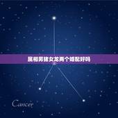 属相男猪女龙两个婚配好吗，属猪和属龙能否婚配？