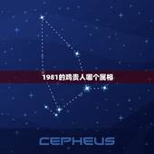 1981的鸡贵人哪个属相，81年生肖的是什么性格？