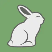 十二生肖尾巴谜题：破解生肖兔无尾之谜