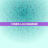 73年属牛人2023年运势运程，1973年属牛女2023年全年运势